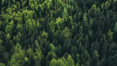 Trek Trikot Trek Solstice Youth M Black Produktbild 8