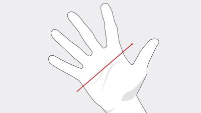 Trek Handschuh Trek Circuit Vollfinger L Black Produktbild 2