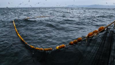 Trek Cage Trek Elite Ocean Recycled Plastic Black Produktbild 3