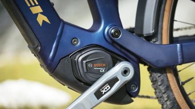 Trek Powerfly FS+ 4 EU L 29 Pennyflake/Black Olive Produktbild 8