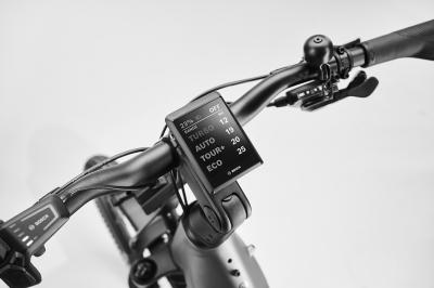 Diamant Suvea Trip Pro LS 600 S-M Heugru�n Produktbild 2