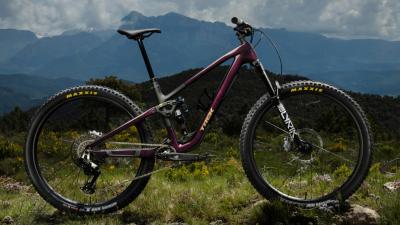 Trek Fuel EX 8 L Gloss Fury Red/Matte Dark Carmine Produktbild 8