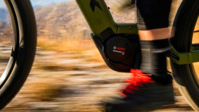 Trek PowerflyFS4 800EU XL 29 Mercury/Dark Web Produktbild 2