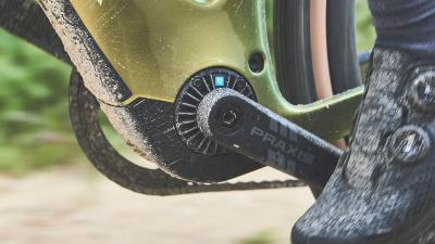 Trek Checkpoint+ SL 5 EU XL Matte Bronze Age/Dark Web Produktbild 6