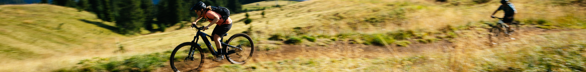  - Radel Bluschke Lingen